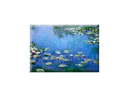 Plumeria Magnet Monet The Water Lilies